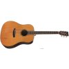 TANGLEWOOD TRS5 SE
