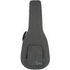 TANGLEWOOD Sundance Grey Foam Case