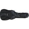 gilmour kytaru bk acoustic