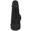 BACIO INSTRUMENTS Violin Case CLR 4/4