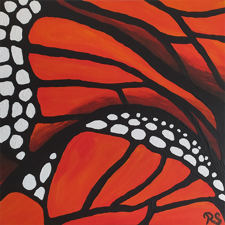 Ručně malovaný obraz - Motýli Monarchové - Křídla