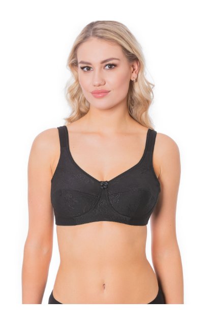 Snímek obrazovky 2024 09 02 101106