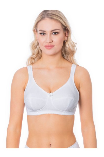 Snímek obrazovky 2024 09 02 102317