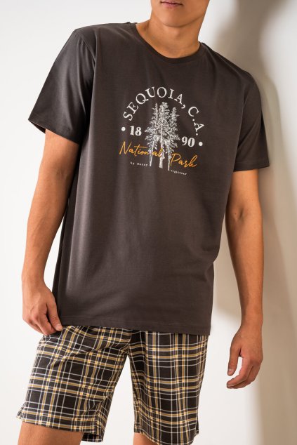Pánské pyžamo Muzzy Sequoia