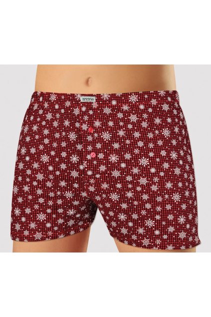 Snímek obrazovky 2024 12 13 151210