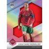 2021 22 Panini Mosaic Road to FIFA World Cup Soccer Base Silver