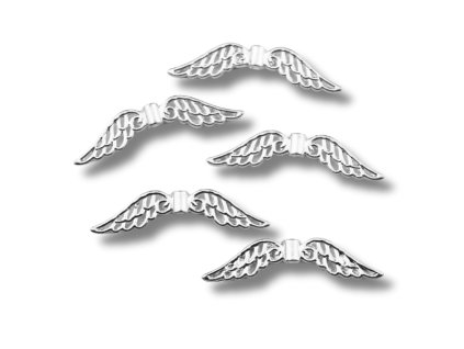 Křídla stříbrná 32 x 6 mm