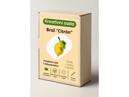 Kreativní sada na korálkovou výšivku