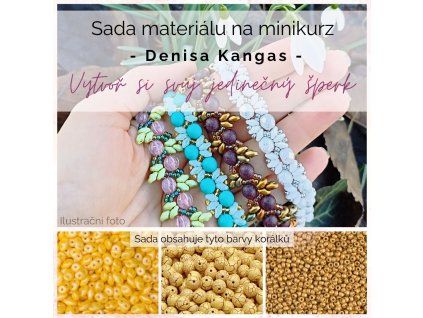 Sada č. 25 na minikurz s Denisou Kangas