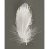 Peří bílé 5-10 cm