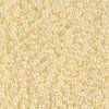 Miyuki seed beads 11/0 SB0527