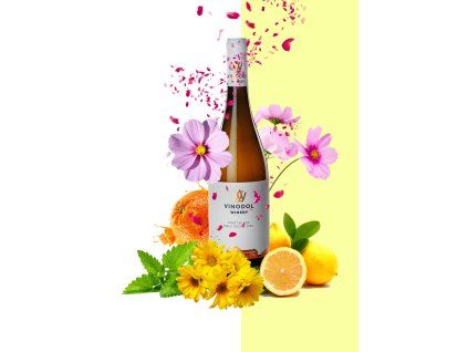 pinot