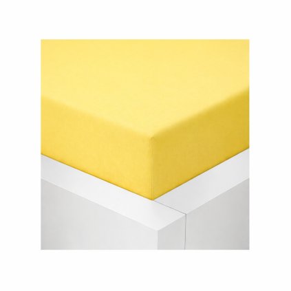 1b5c6838 15a2 4c9f 945e 7b21be8d8e36