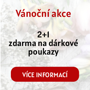 Vánoční akce 2+1 zdarma na dárkové poukazy