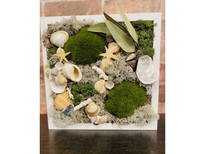 Mechový obrázek 25 x 25 cm