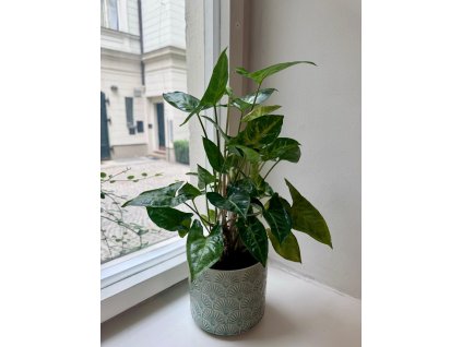 PHOTO 2024 07 17 08 24 31
