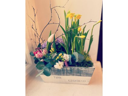 20F9A8F1 134A 45A8 BF0E D489AFE95789