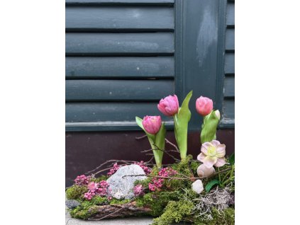 Růžové tulipány - trvanlivé