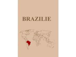 brazilie 570x806