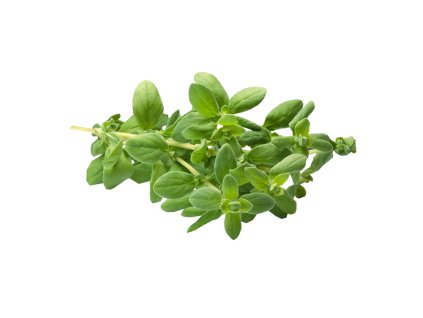 marjoram 7449285 1280