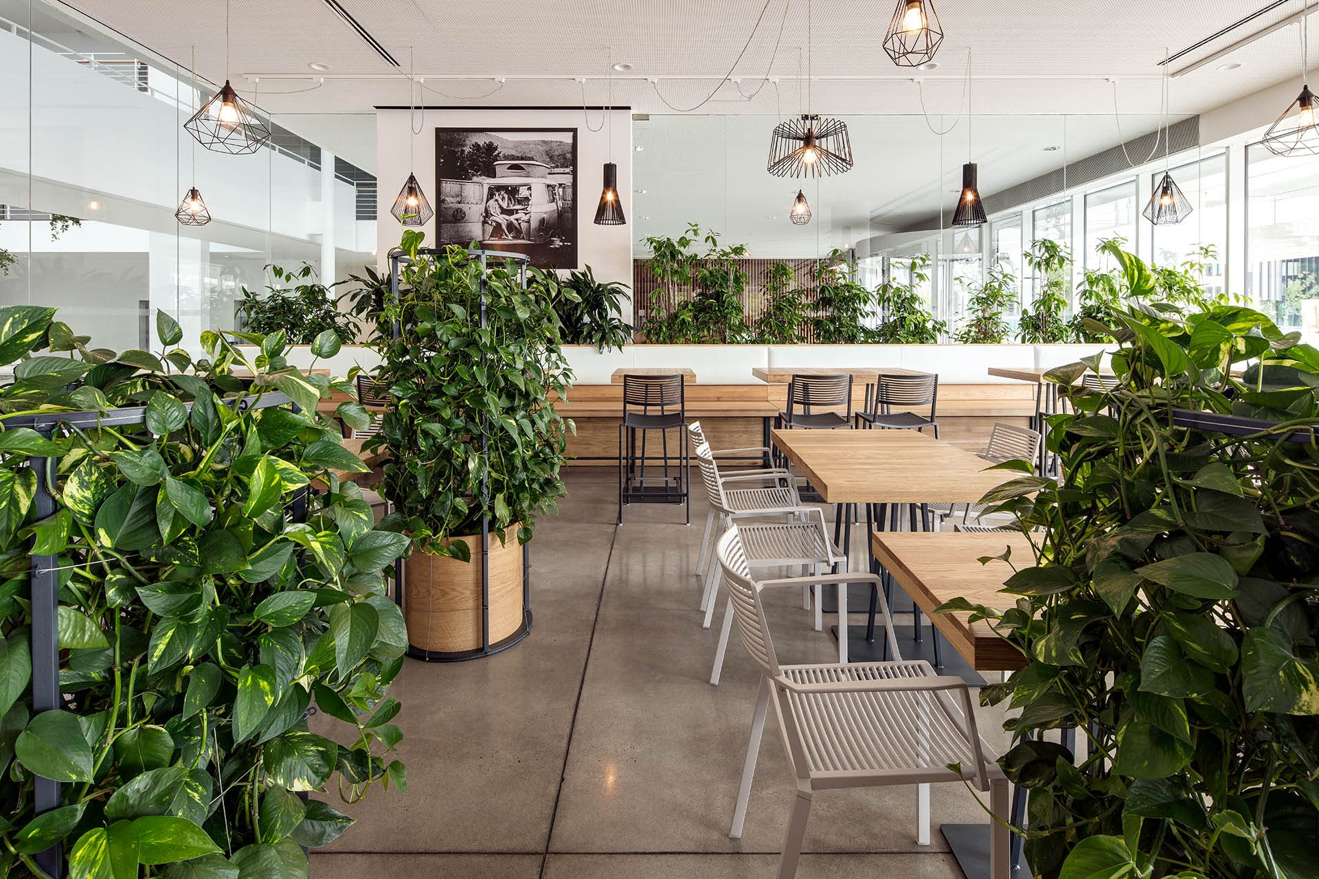 fresherie-bistro-1