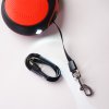 LED leash red 3
