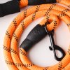 GlowLeash orange 2