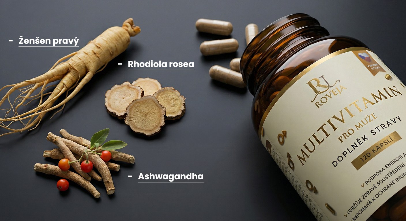 Přírodní adaptogeny v multivitaminu pro muže – ženšen pravý, rhodiola rosea a ashwagandha
