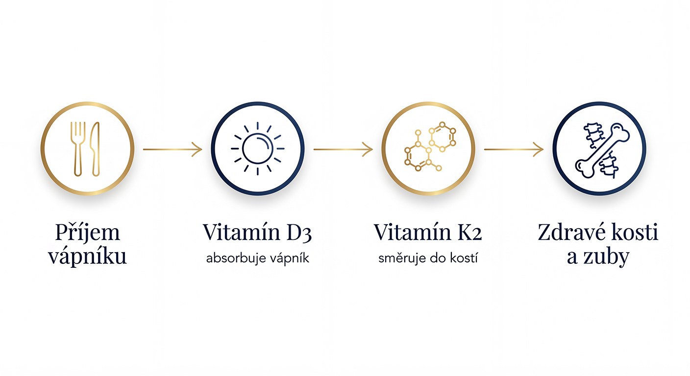 Spolupráce vitaminu D3 a K2 – vstřebávání vápníku a podpora zdravých kostí