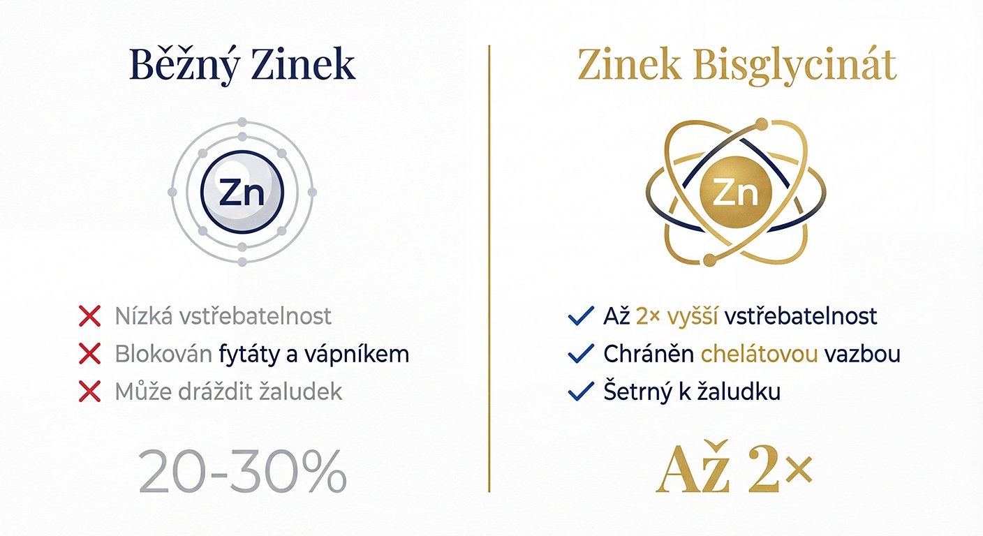 Srovnání běžného zinku a bisglycinátu zinečnatého – až 2× vyšší vstřebatelnost a šetrnost k žaludku