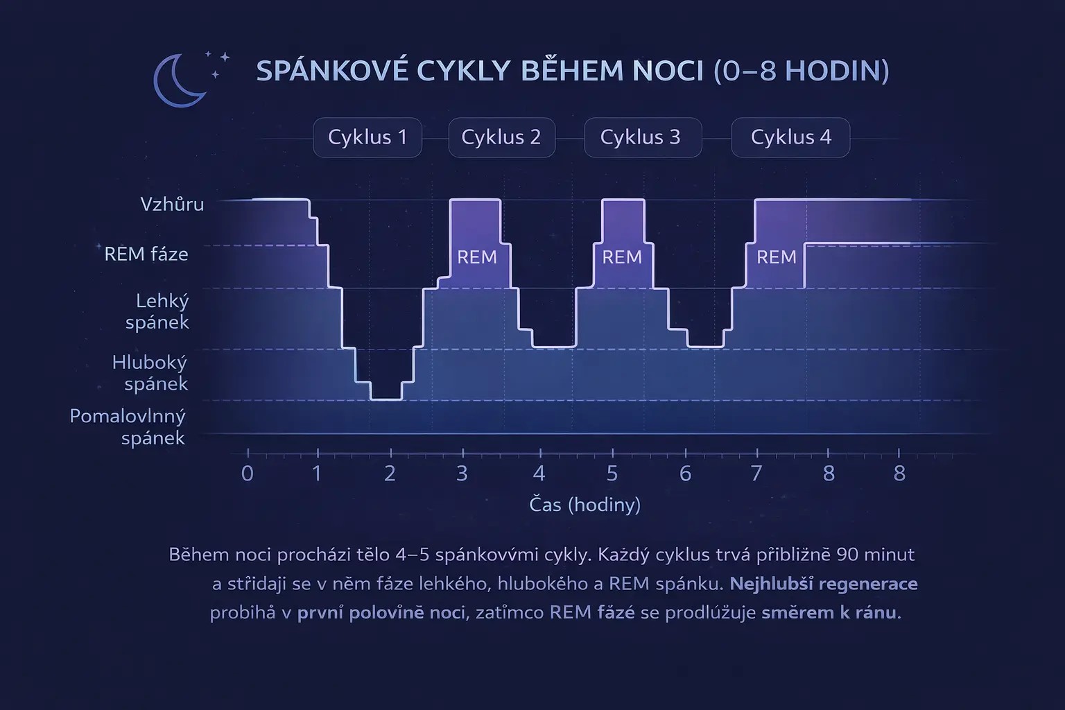 Fáze spánku a REM cykly během noci – regenerace těla