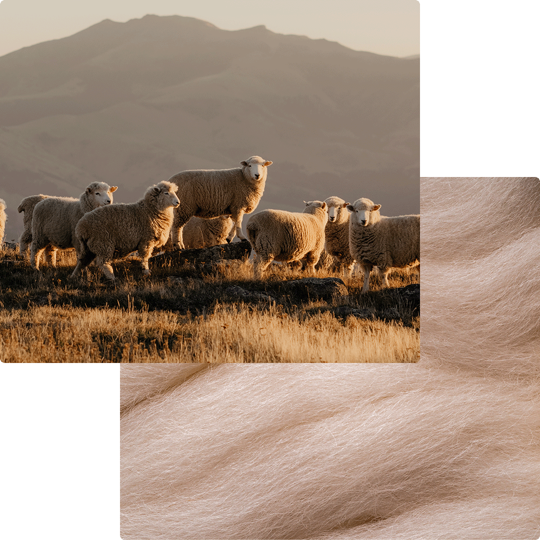 Merino vlna