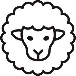 Merino vlna