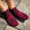 ROX Merino Venty 3pack Berry 06