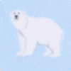 Modrá - lední medvěd SP