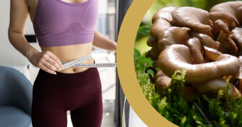 Na ceste Chudnutím s Maitake