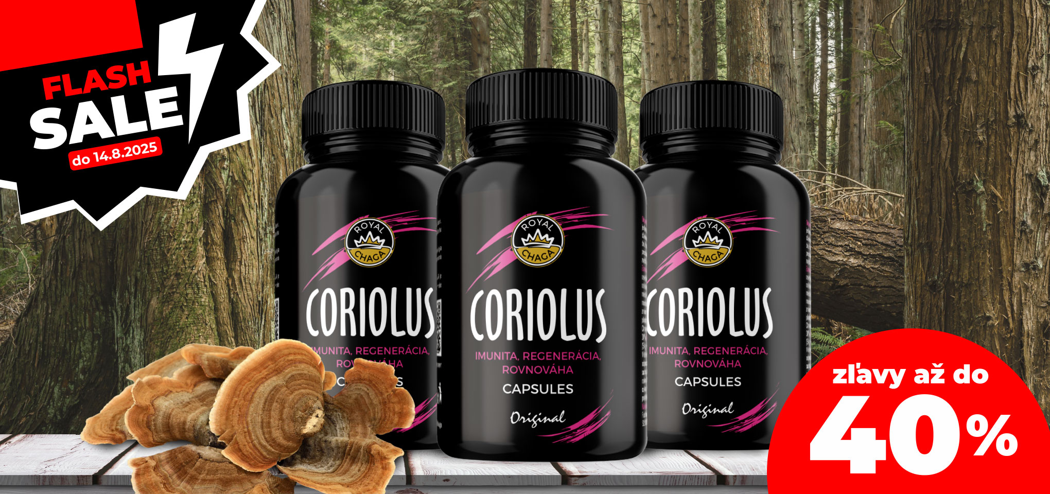 Flash sale Coriolus