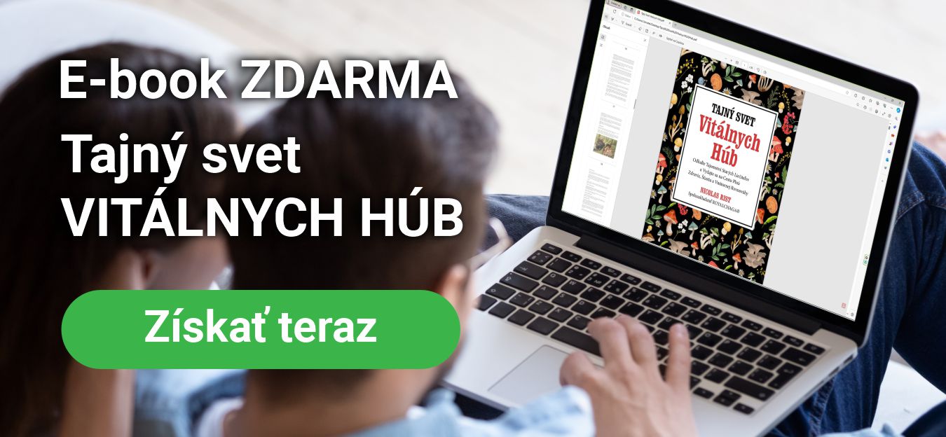 E-book Zdarma