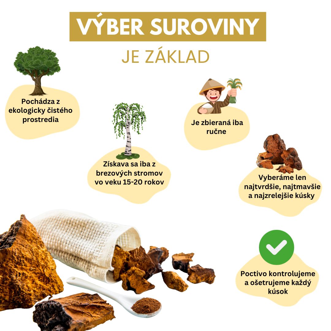 Čaga - Vyber suroviny je zaklad