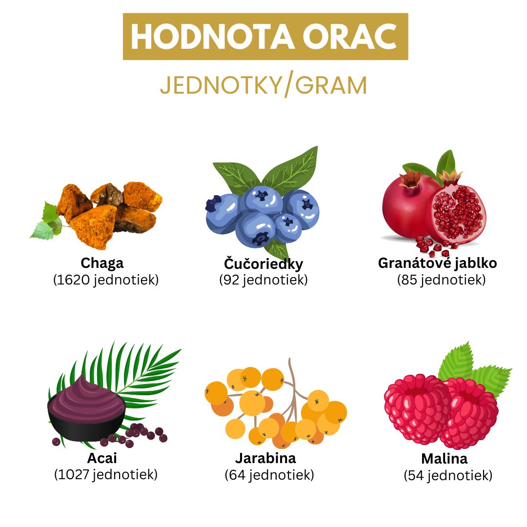 Čaga Sibírska Adaptogén