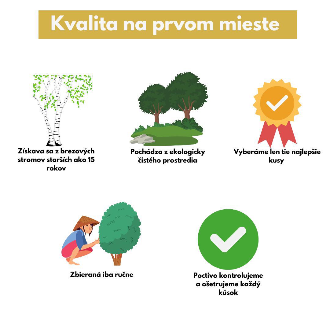 Čaga Sibírska ORAC