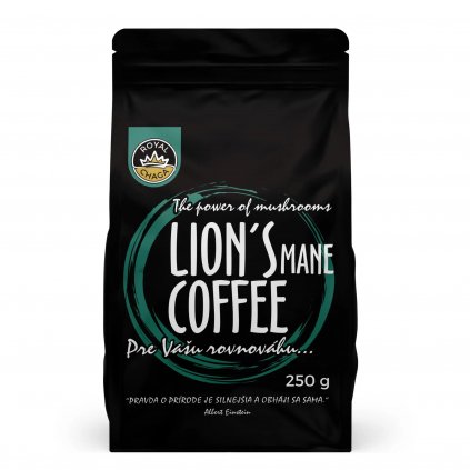 kava lion uvodna