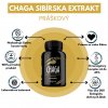 CHAGA SIBÍRSKA EXTRAKT