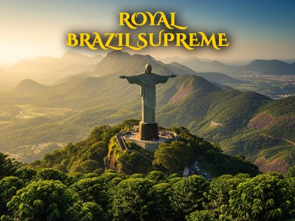 BRAZILL 1