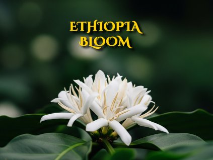 ETHIOPIA