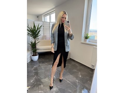 Trblietave sako Souri sivá