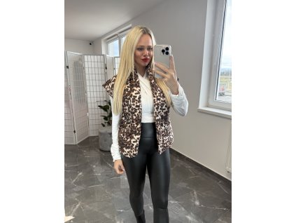 Vesta Ama