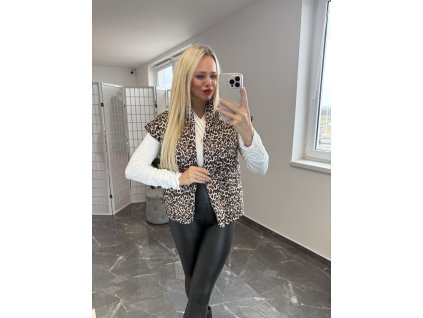Vesta Ama