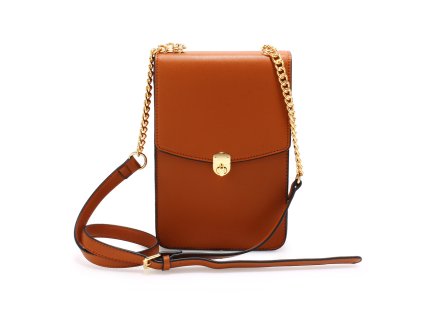 AG00586 brown 1