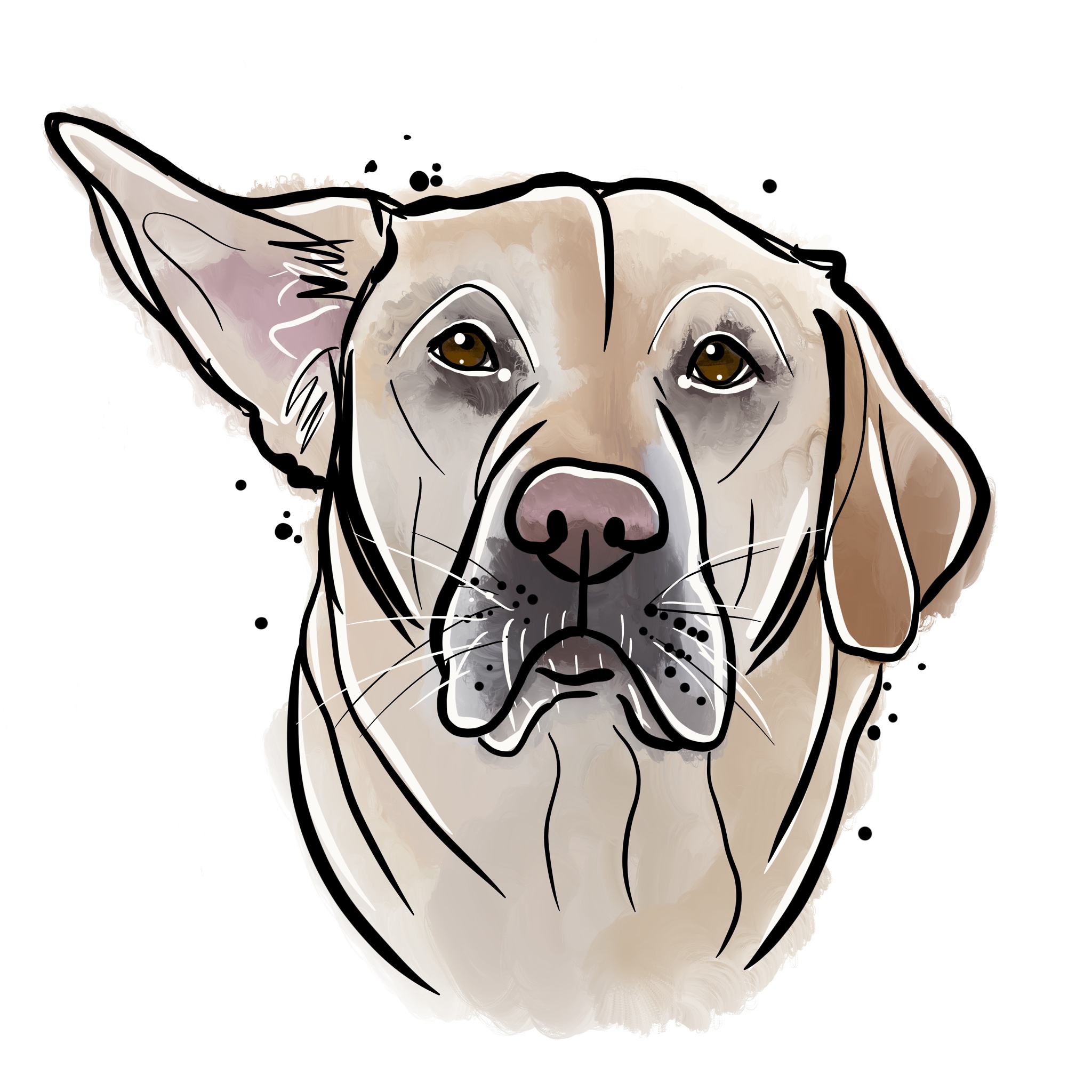 7 nejlepších filmů o psech...